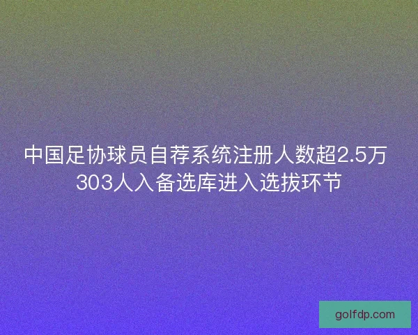 中国足协球员自荐系统注册人数超2.5万 303人入备选库进入选拔环节