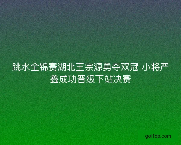 跳水全锦赛湖北王宗源勇夺双冠 小将严鑫成功晋级下站决赛